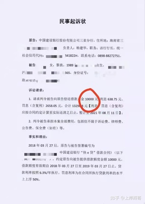 怎样起诉网贷公司
