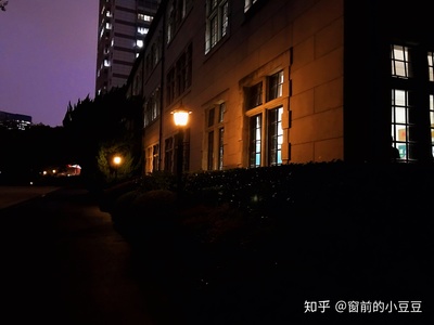 月亮中学英文怎么说