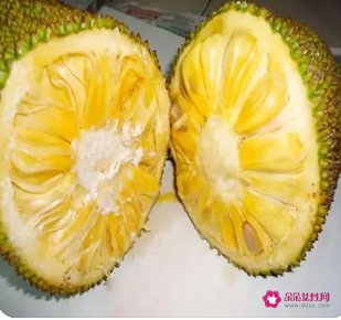 孕妇可以菠萝蜜吗