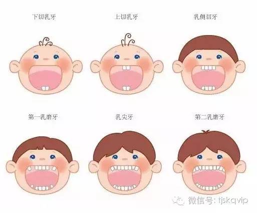宝宝乳牙生长顺序错了