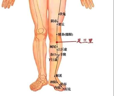 艾灸足三里是一个腿还是两个腿一起