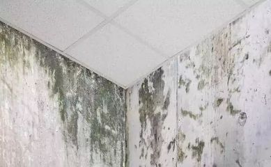 墙面发黑