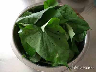 红薯叶腌制的做法大全家常