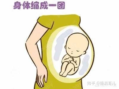 怀孕一个月会有肚子吗