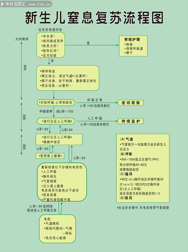 新生儿复苏抢救流程