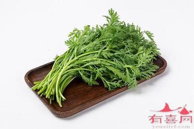 怀孕初期能吃茼蒿菜吗