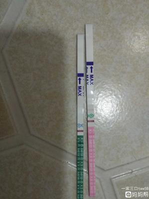 排卵期不是排卵日会怀孕吗