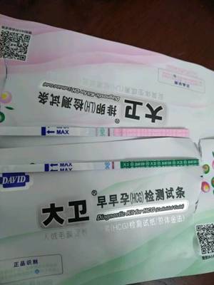 梦见自己来例假了见血