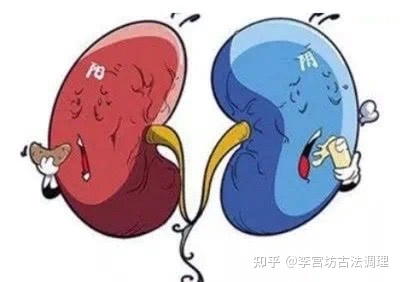 胆囊炎会咳嗽吗
