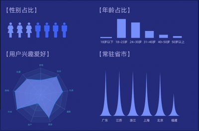 什么叫有一定数据分析能力