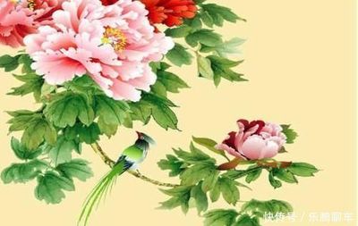 惊蛇入草打一生肖