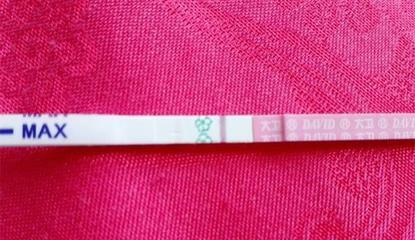 排卵期不是排卵日会怀孕吗