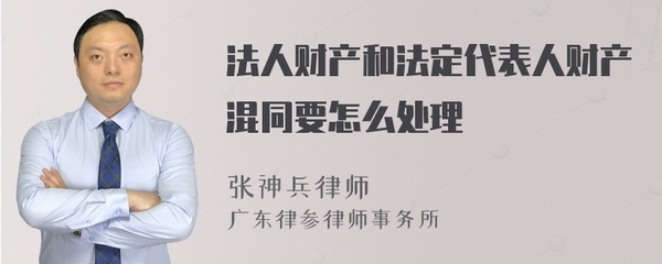 法人财产混同