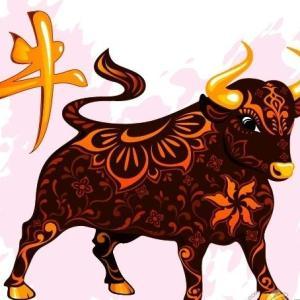 属牛的女人今年运势
