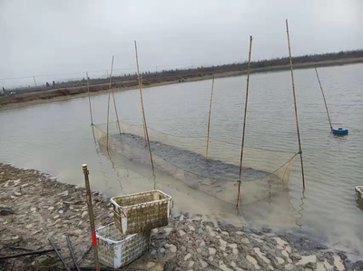 海北藏族自治州观赏鱼批发市场：“五一”假期消费市场亮点纷呈 全国观赏鱼市场 第1张