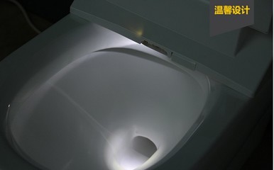 地排式马桶
