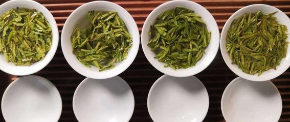 白茶和乌龙茶