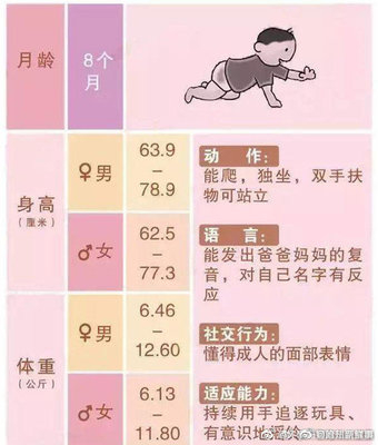 12个月宝宝发育指标