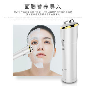 面膜导入仪