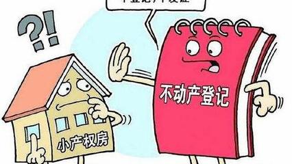 小产权房子