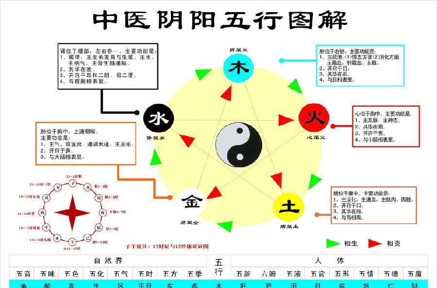 维字五行属什么的