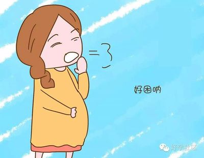 怀孕变懒怎么回事