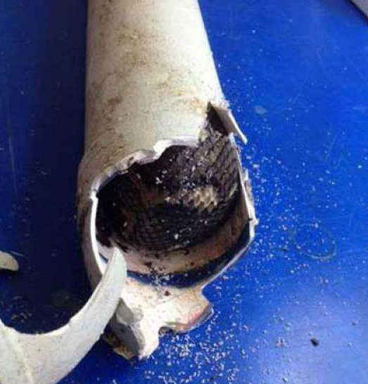厨房下水管油污垢头发