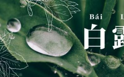 何字属于五行属什么