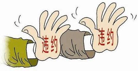 试用期交保险吗