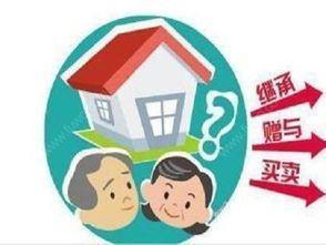 遗产房产继承过户问题