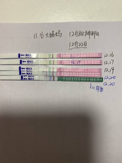 怎么用试纸测怀孕
