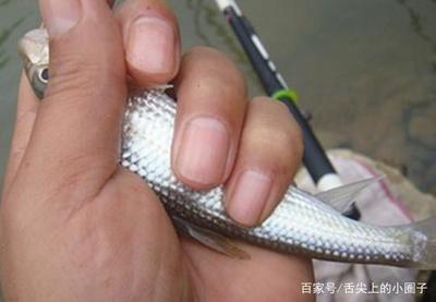 船舶打钉子