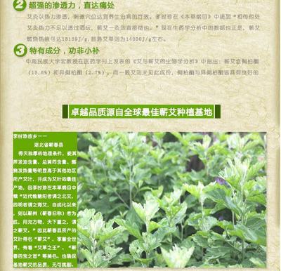 孕妇可以喝姜枣茶吗