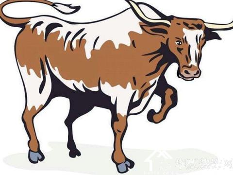 男羊配什么生肖最好