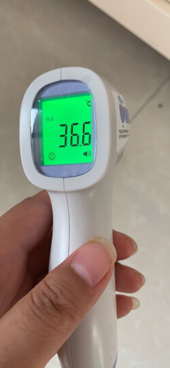 家里的温度表多少钱
