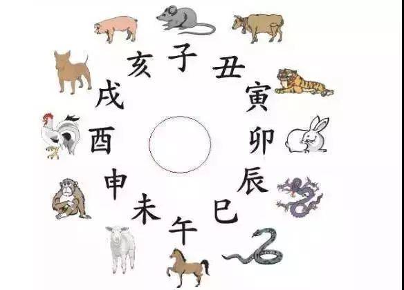 什么生肖相克