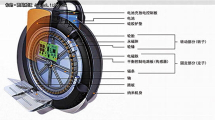 仪体什么意思