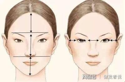 脸型鉴定