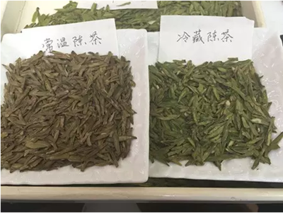 绿茶保存