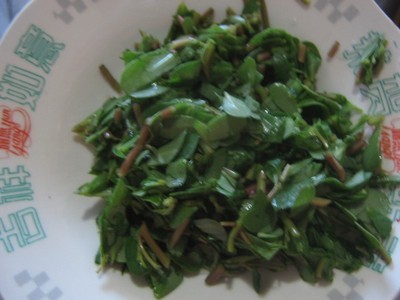 马齿苋粥做法大全家常