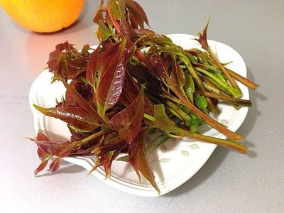孕妇能吃马兰吗