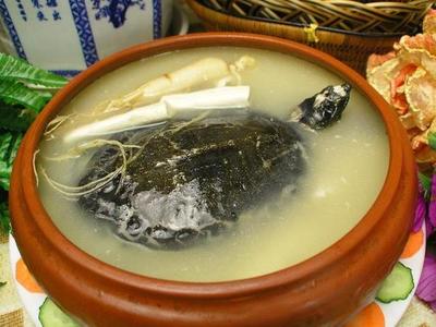 甲鱼宝宝能吃吗