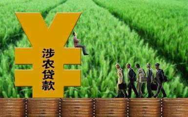 农村农业贷款