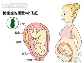 37周宝宝发育标准