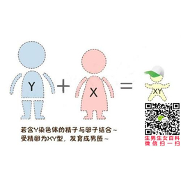 孕妇梦见枪生男生女