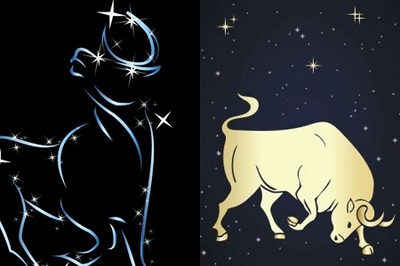 十二星座金牛座