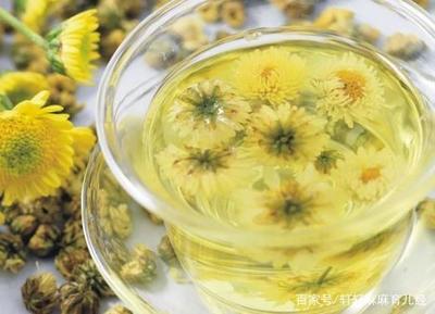怀孕了能不能喝菊花茶