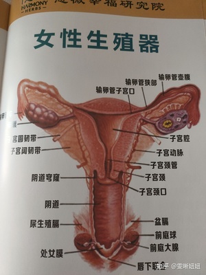 附件炎影响怀孕吗