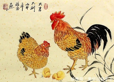 与鸡相冲的属相是什么
