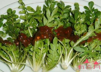 月子能吃荠菜吗